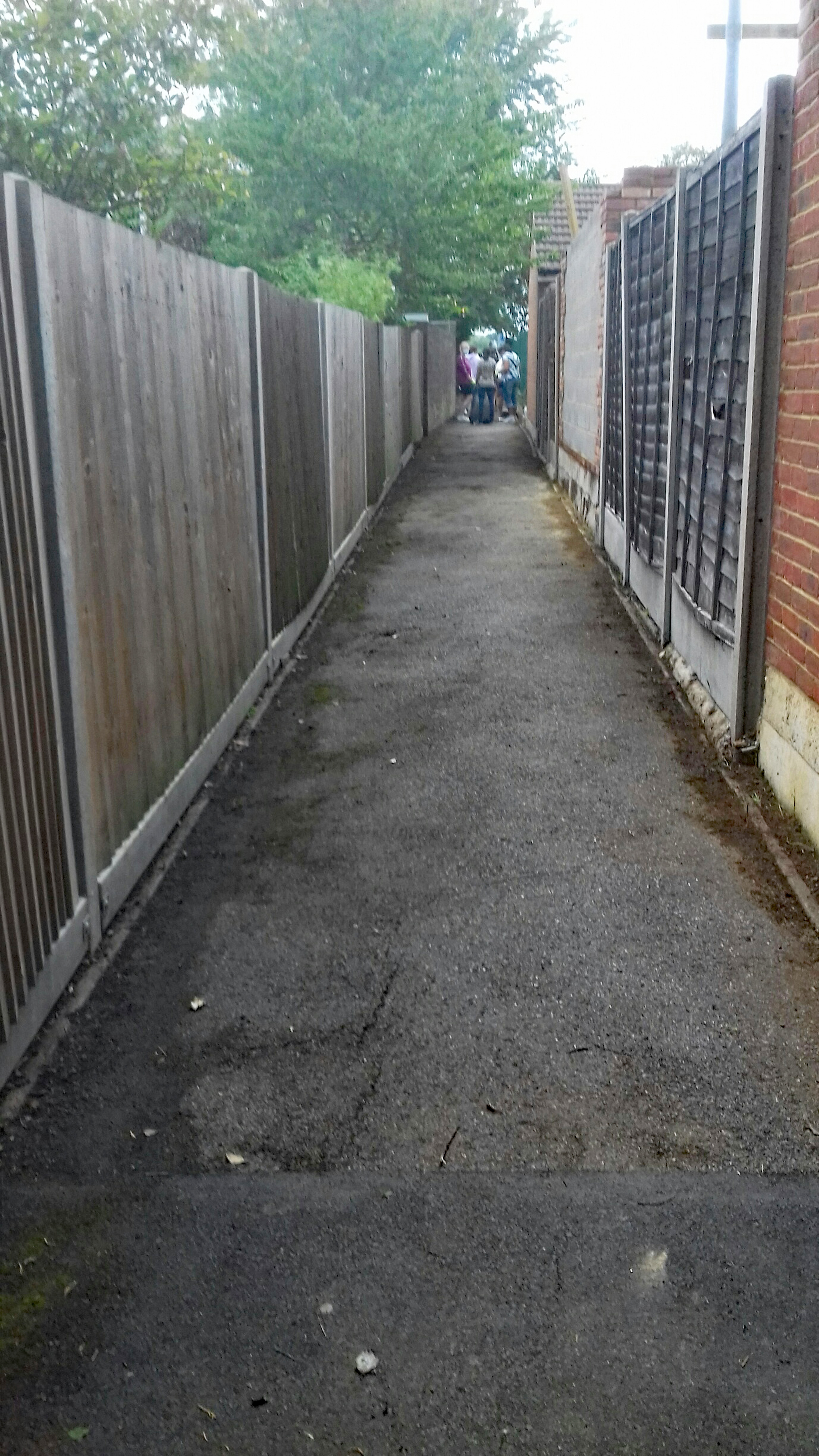 The cleared path